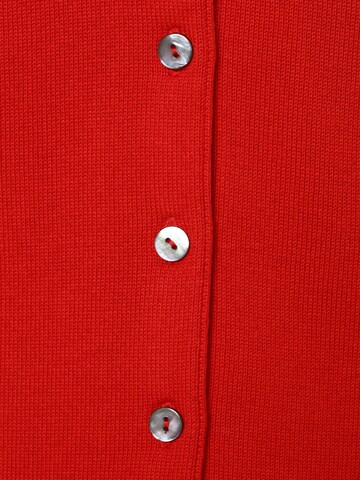 Brookshire Knit Cardigan ' ' in Red