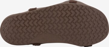 Xero Shoes Sandals 'Z-Trek' in Brown