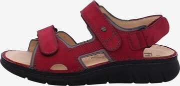 Finn Comfort Sandalen met riem in Rood: voorkant