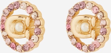 COACH Earrings in Gold: front