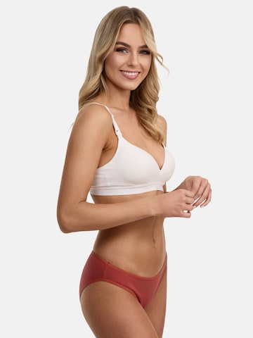 Tazzio Slip 'Tazzio Damen Slip 3er-Pack F941' in Braun