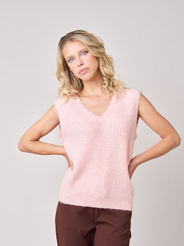 Deeluxe Trui in Roze