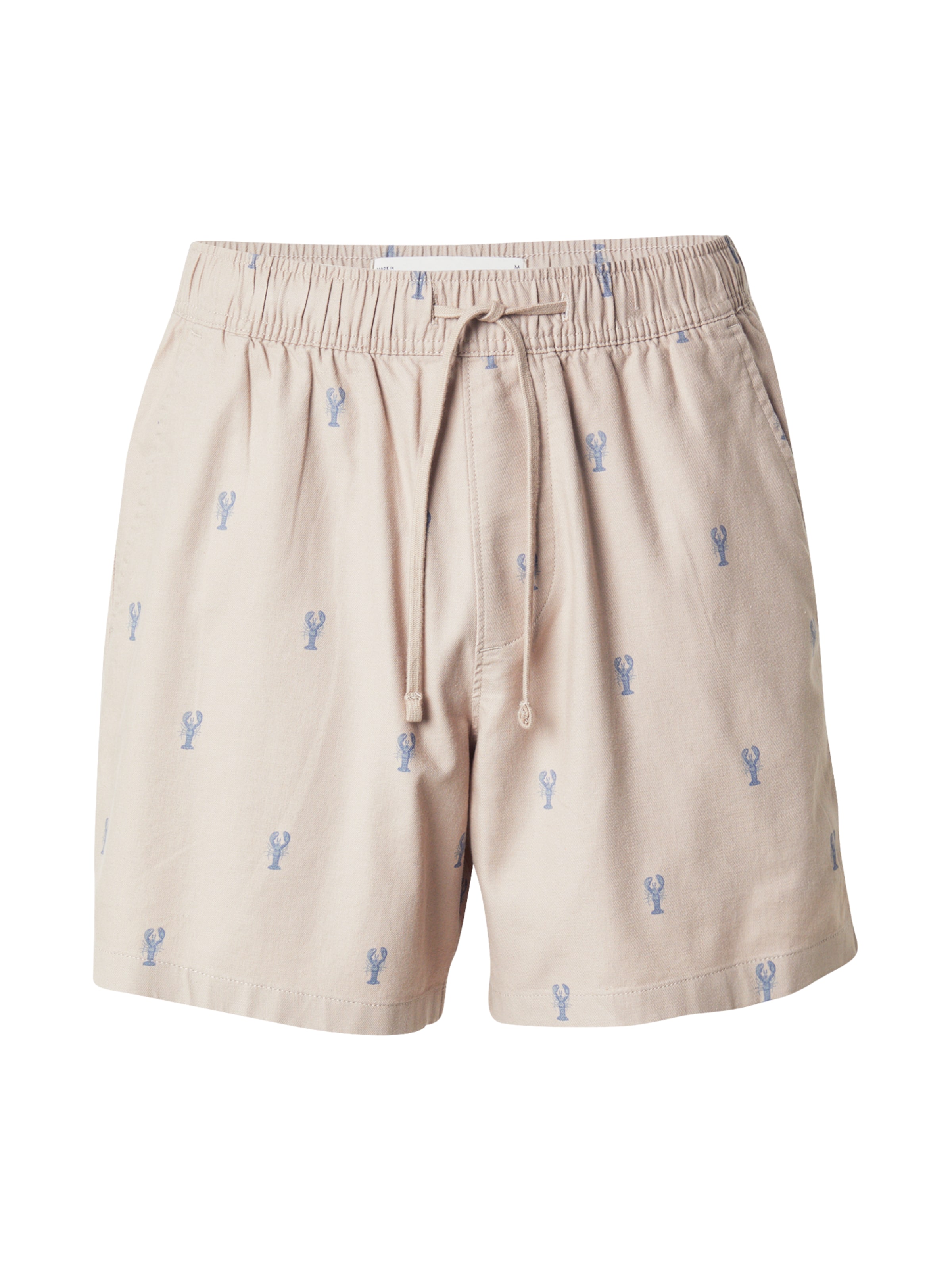 pelēks HOLLISTER Standarta Bikses: no priekšpuses