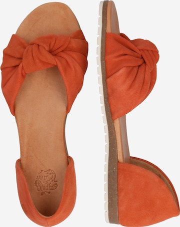 Apple of Eden Sandals 'Chelsea' in Orange