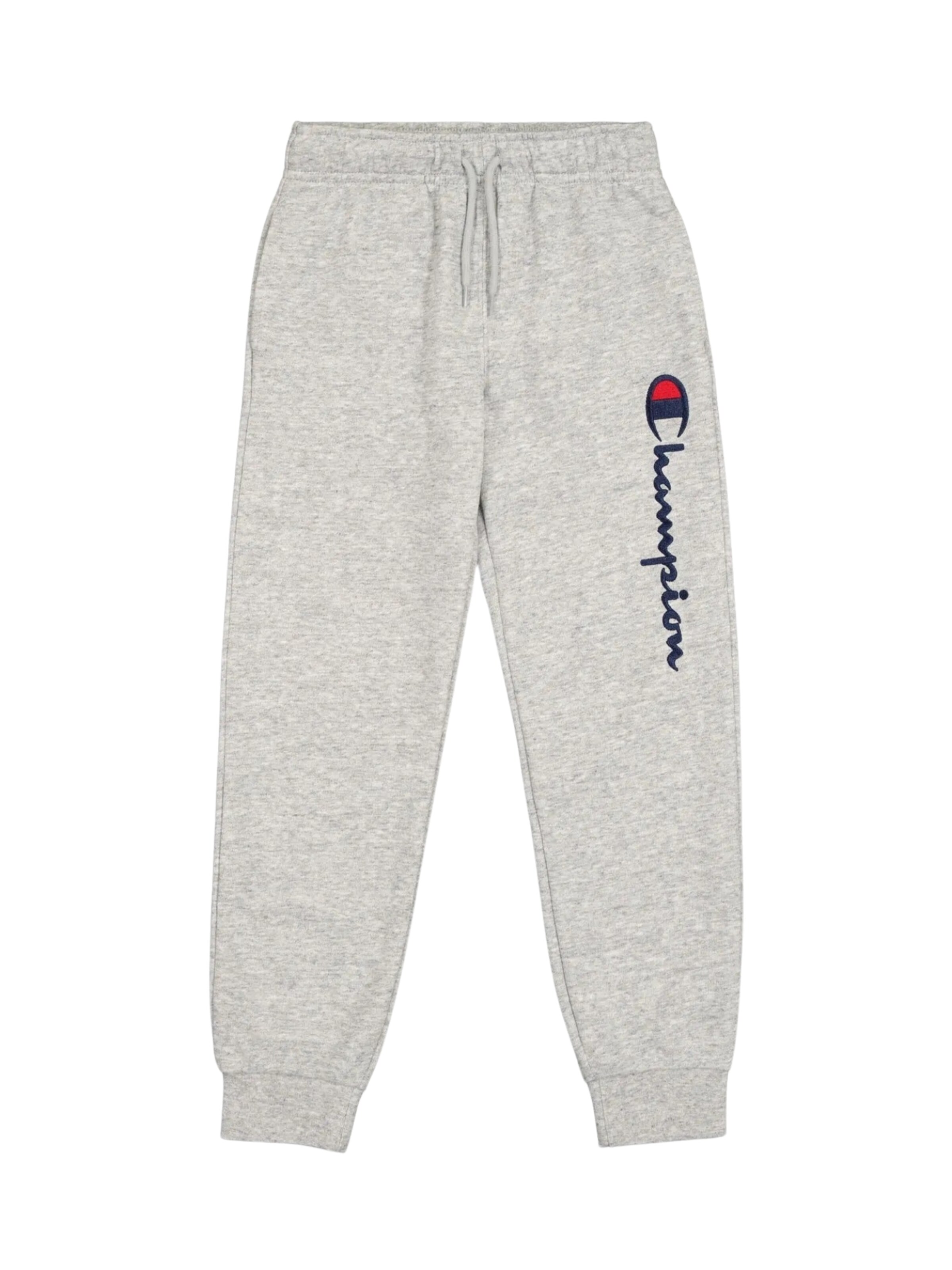 Regular Pantalon de sport Champion Authentic Athletic Apparel en gris : devant