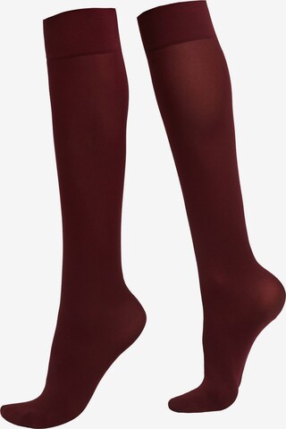 CALZEDONIA Knee High Socks in Red: front