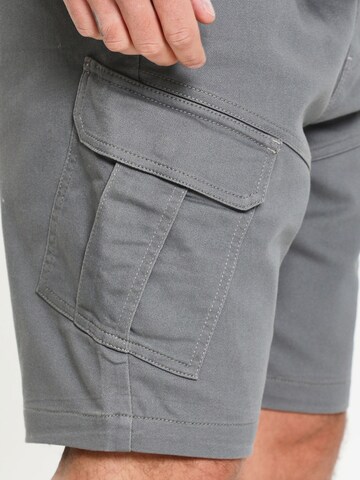 Regular Pantalon cargo 'Rocky' Threadbare en gris