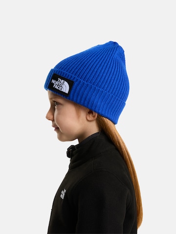 THE NORTH FACE Čiapky - Modrá