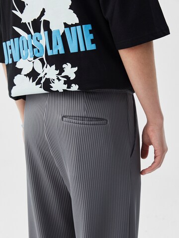 Loosefit Pantaloni 'Tampa' di VAMOS CLO in grigio