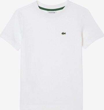 T-Shirt LACOSTE en blanc : devant