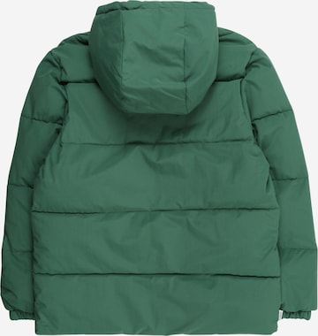 Veste de sport 'BIG TREKKA' ELEMENT en vert