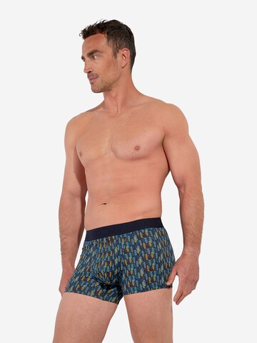 HOM Retro Boxer Briefs ' HO1 Westgate ' in Blau