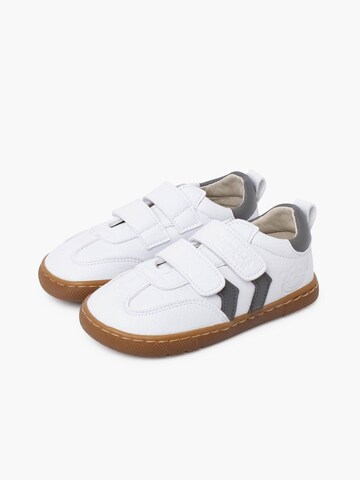 Baskets Pisamonas en gris