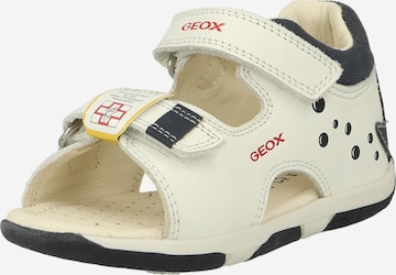GEOX Sandals & Slippers 'TAPUZ' in White: front