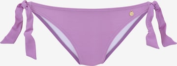 LASCANA Bikini Bottoms in Purple: front