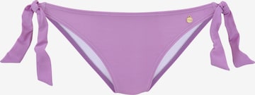 LASCANA Bikini bottom in Purple: front