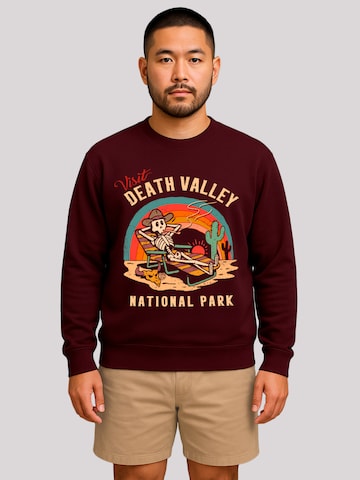 Sweat-shirt 'US National Parks Visit Death Valley' F4NT4STIC en marron : devant