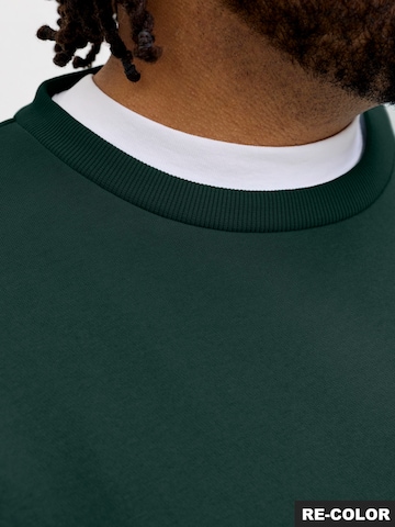 Jack & Jones Plus Mikina 'JJEBRADLEY' – zelená
