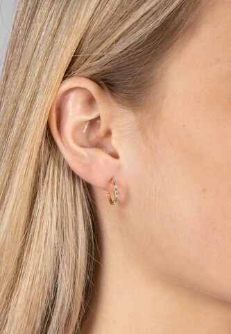 Joanli Nor Earrings 'Firanor' in Gold: front