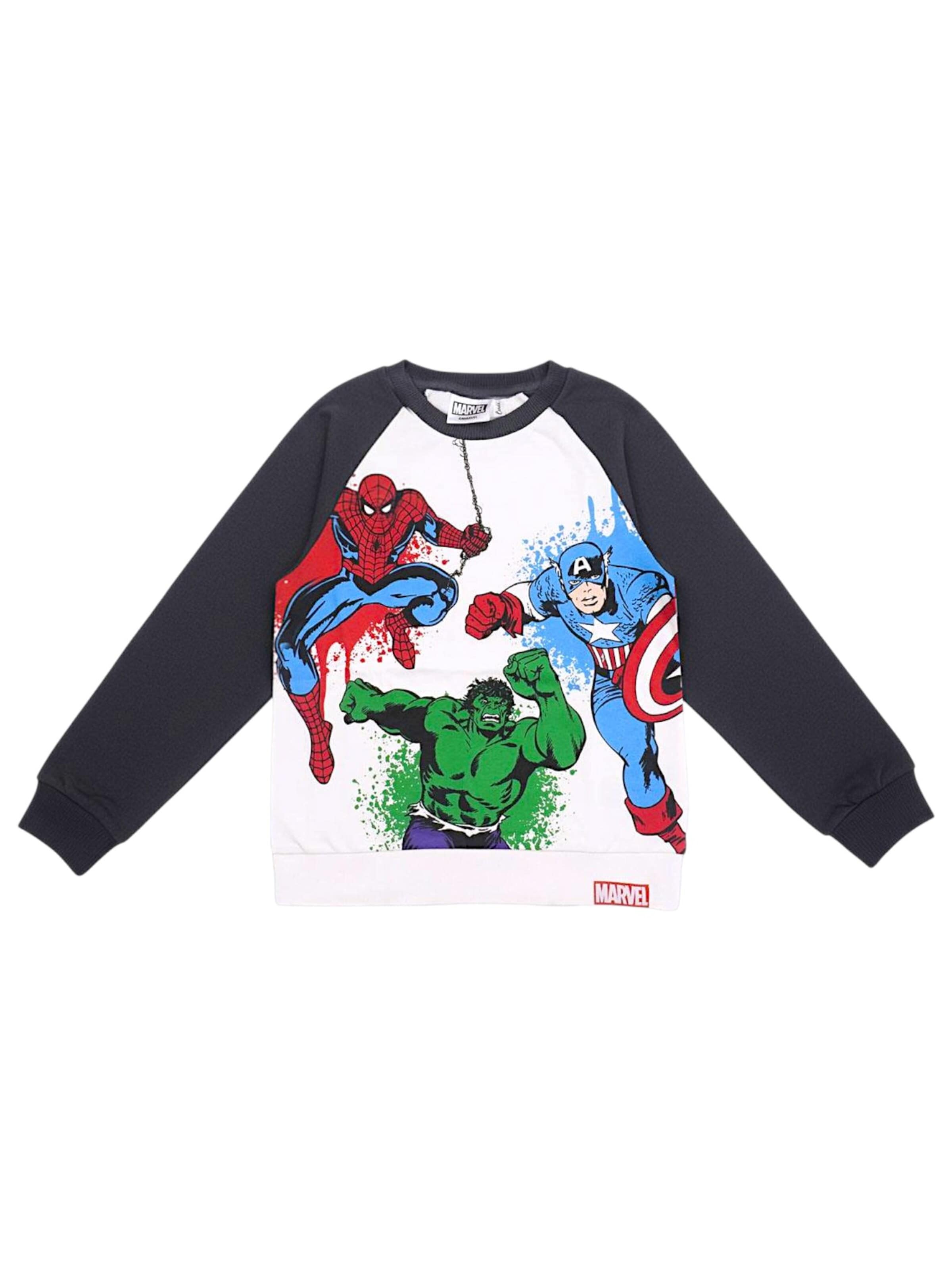 Marvel Avengers Sweatshirt‌‌‌‌‌‌‌ in Mischfarben: Vorderseite