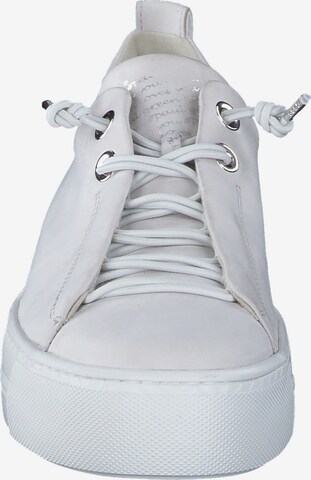 Baskets basses Paul Green en blanc