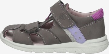 Pepino Sandals & Slippers in Grey