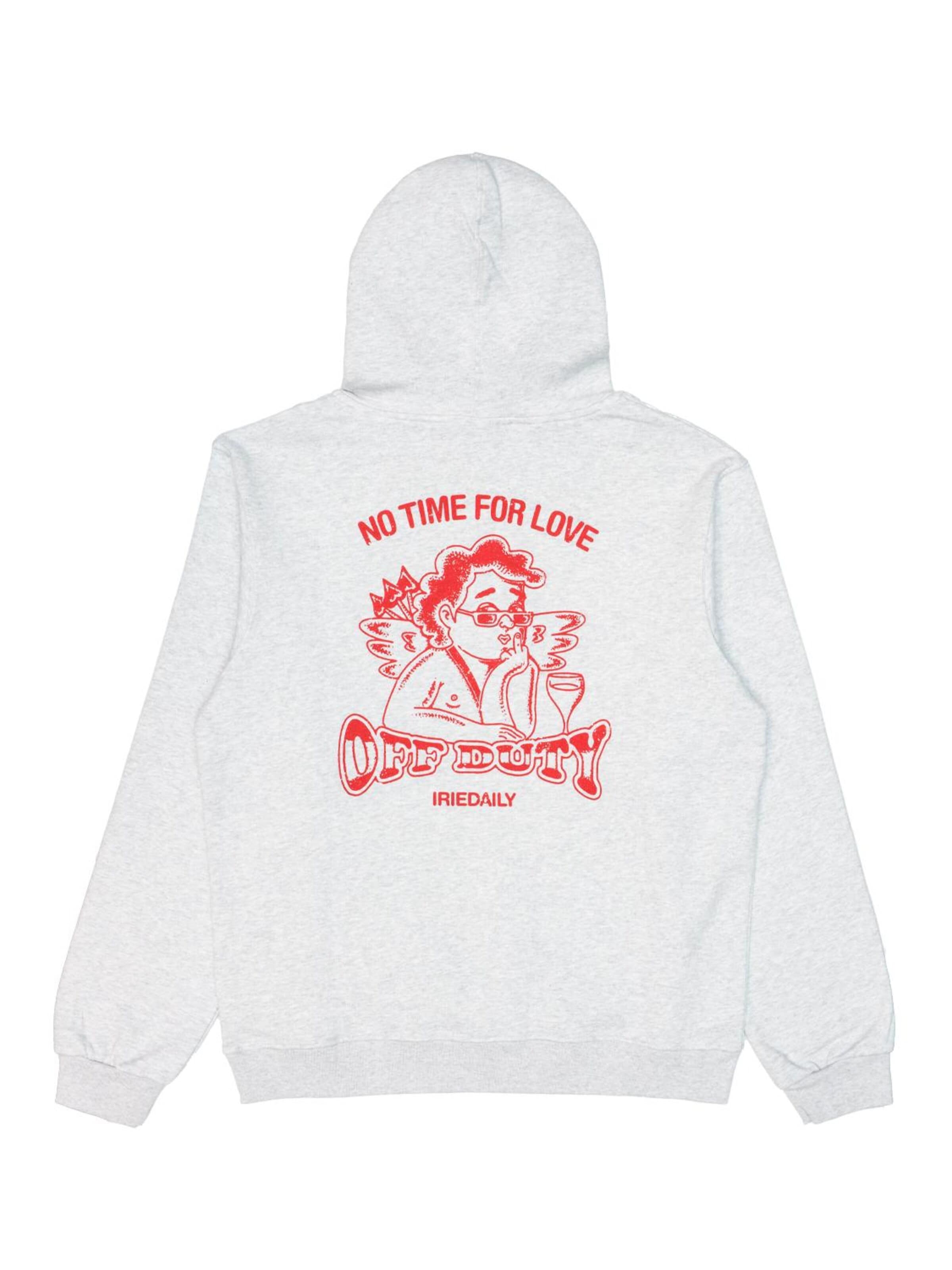 Iriedaily Sweatshirt in Grey