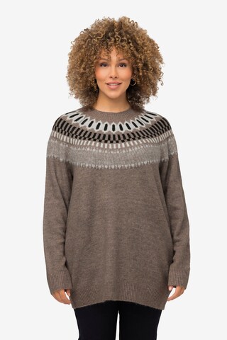 Pull-over Ulla Popken en marron : devant