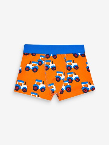 Next Onderbroek in Blauw
