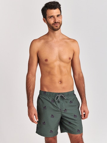 Shiwi Swimming shorts in Green: front