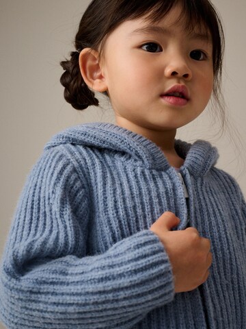 Next Strickjacke in Blau