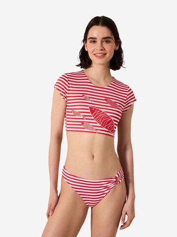 Penti Bikini bottom 'Bikinihosen' in Mixed colours