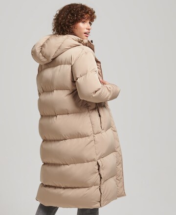 Superdry Winter Coat in Beige