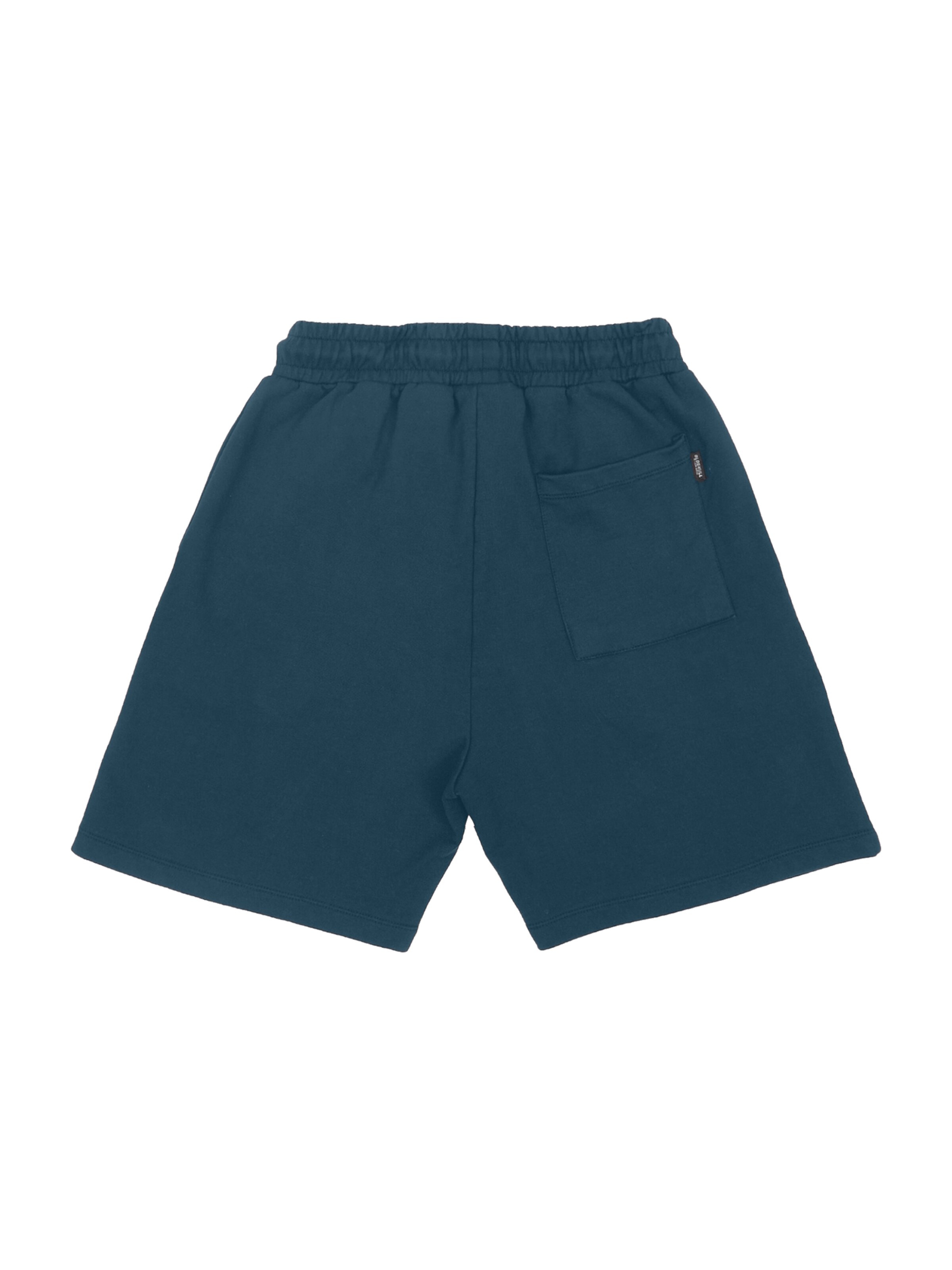 Oldskull Loose fit Trousers 'Samurai' in Green: front