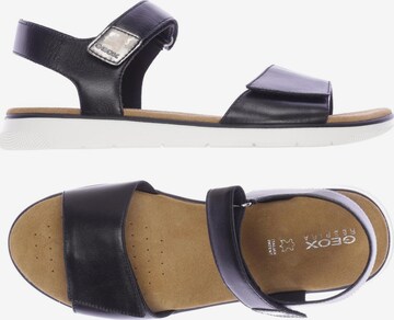 GEOX Sandals & High-Heeled Sandals in 41 in Black: front