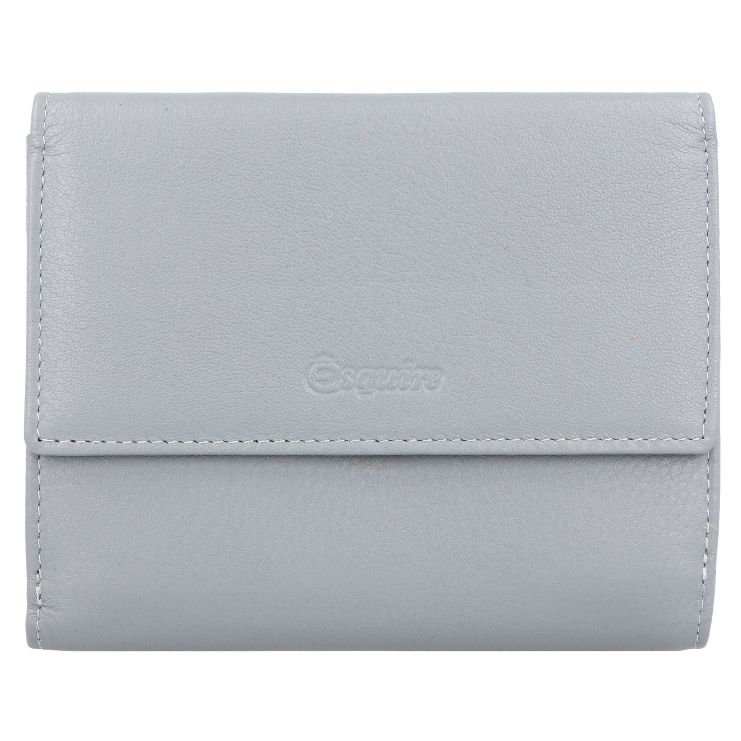 Portamonete 'Viktoria' di Esquire in grigio: frontale