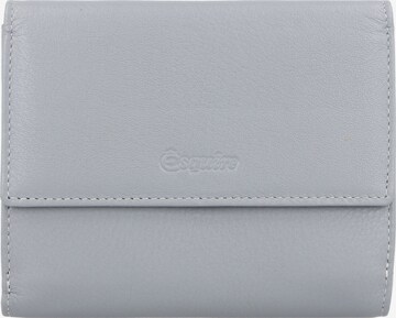 Esquire Wallet 'Viktoria' in Grey: front