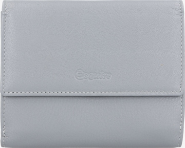 Esquire Wallet 'Viktoria' in Grey: front