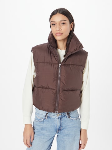 Misspap Vest in Brown: front