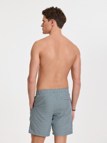 Shorts de bain 'Mike' Shiwi en vert