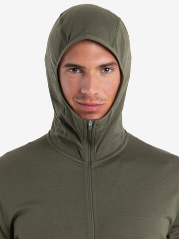 ICEBREAKER Zip-Up Hoodie 'Mer 560 Realfleece EleMtal II' in Green