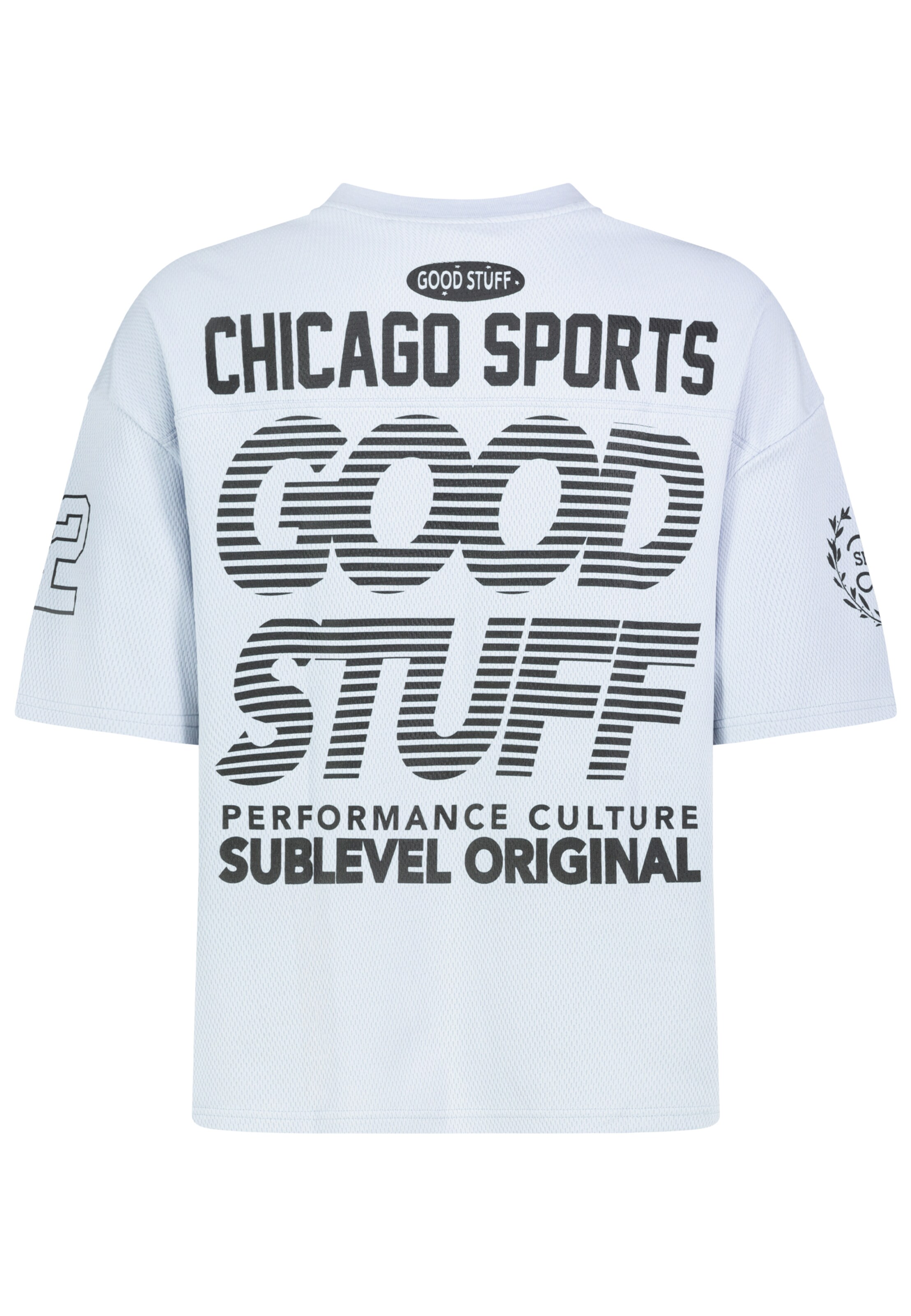 Sublevel T-Shirt in Blau