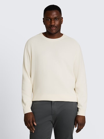 TOM TAILOR Men + Pullover in Weiß: Vorderseite