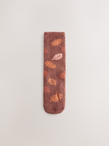 Chaussettes Next en marron