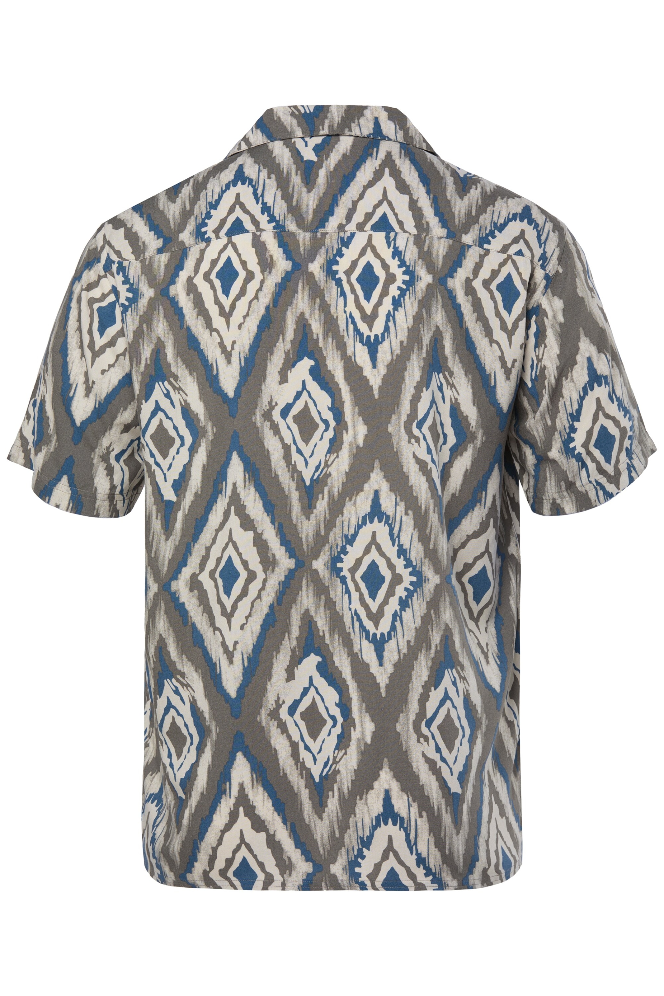 Men Plus Regular fit Overhemd in Grijs