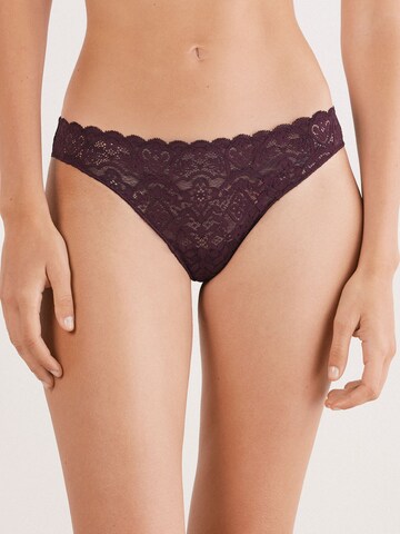 INTIMISSIMI Panty in Purple: front