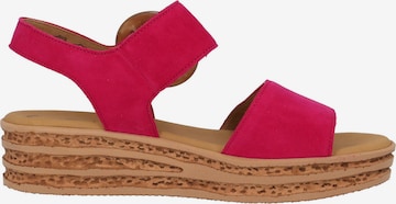 GABOR Strap Sandals in Pink