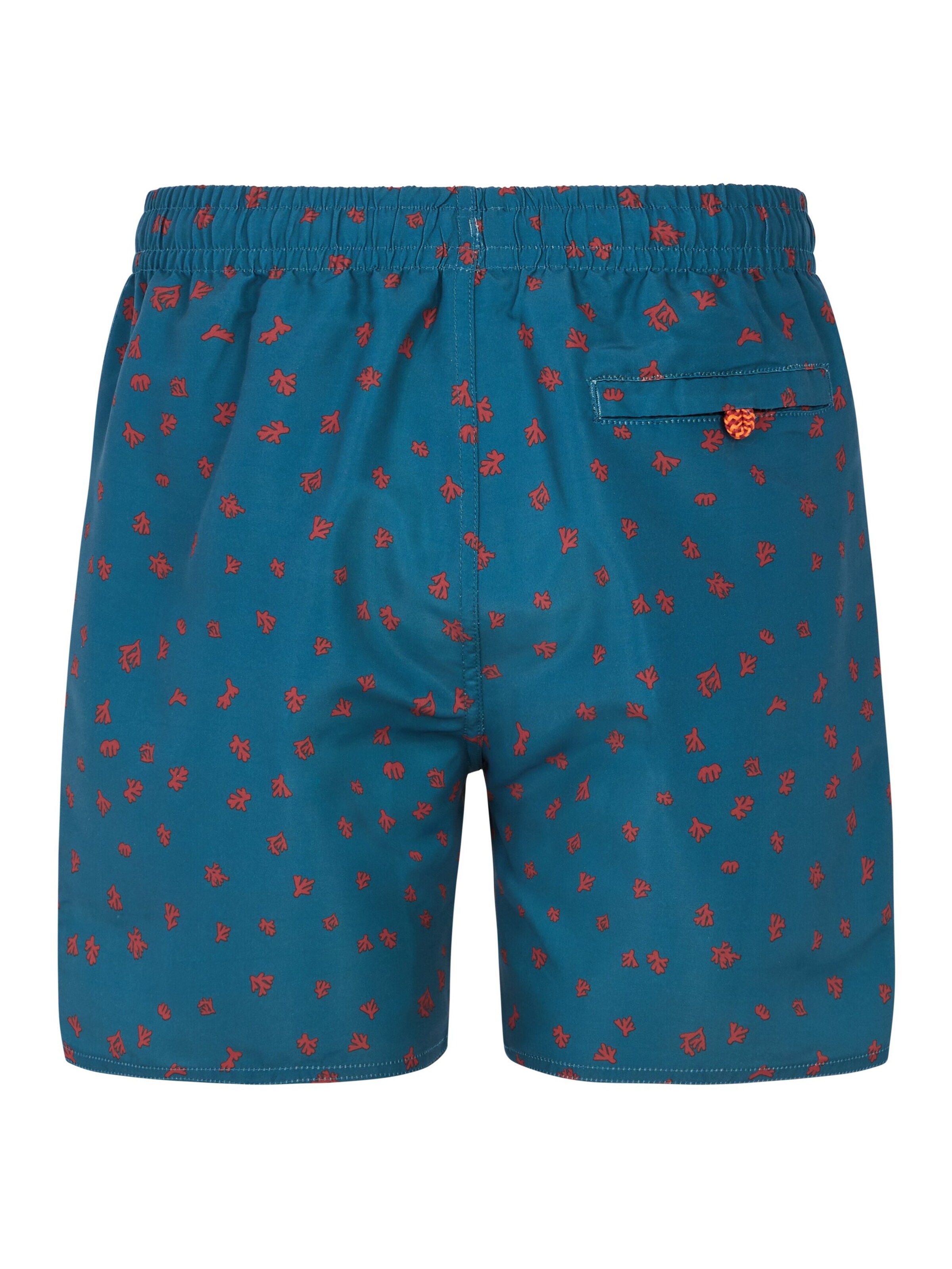 PROTEST Board Shorts 'PRTTyson JR' in Blue