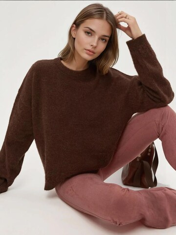 Hiccup Svetr 'Pullover' – hnědá