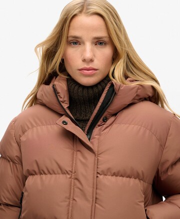 Superdry Tussenjas in Bruin